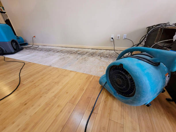 Professional Basement Flood Cleanup technician working in Russellton, PA